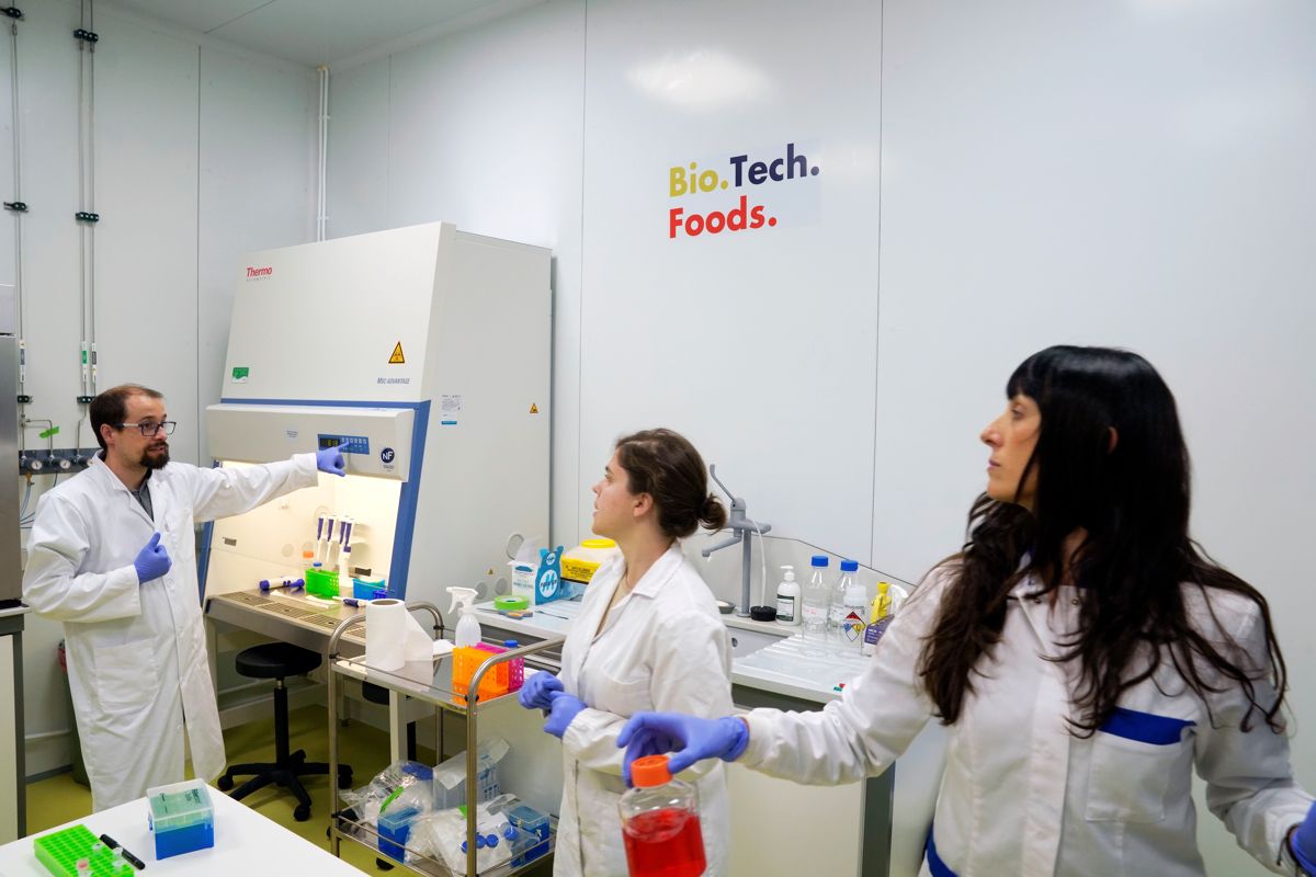 The 280,000 labgrown burger could be a more palatable 10 in two