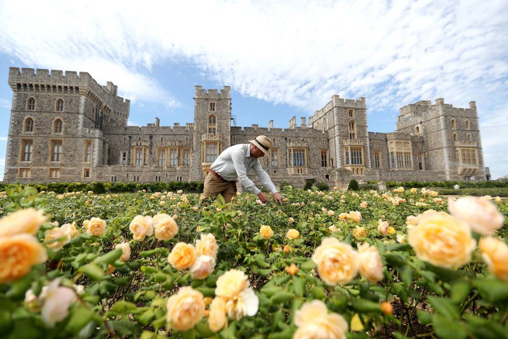 Windsor Castle opens terrace garden for first time in 40 years GG2