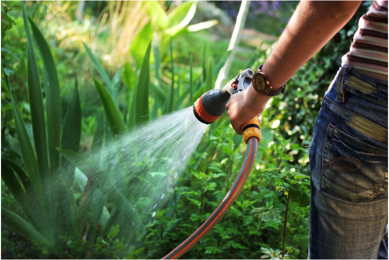 London set for hosepipe ban from Aug 24 GG2