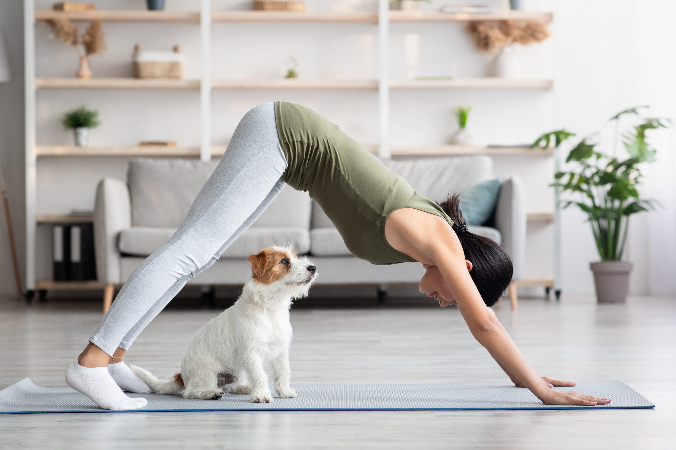 Millennials turning to puppy yoga to find balance in their lives GG2